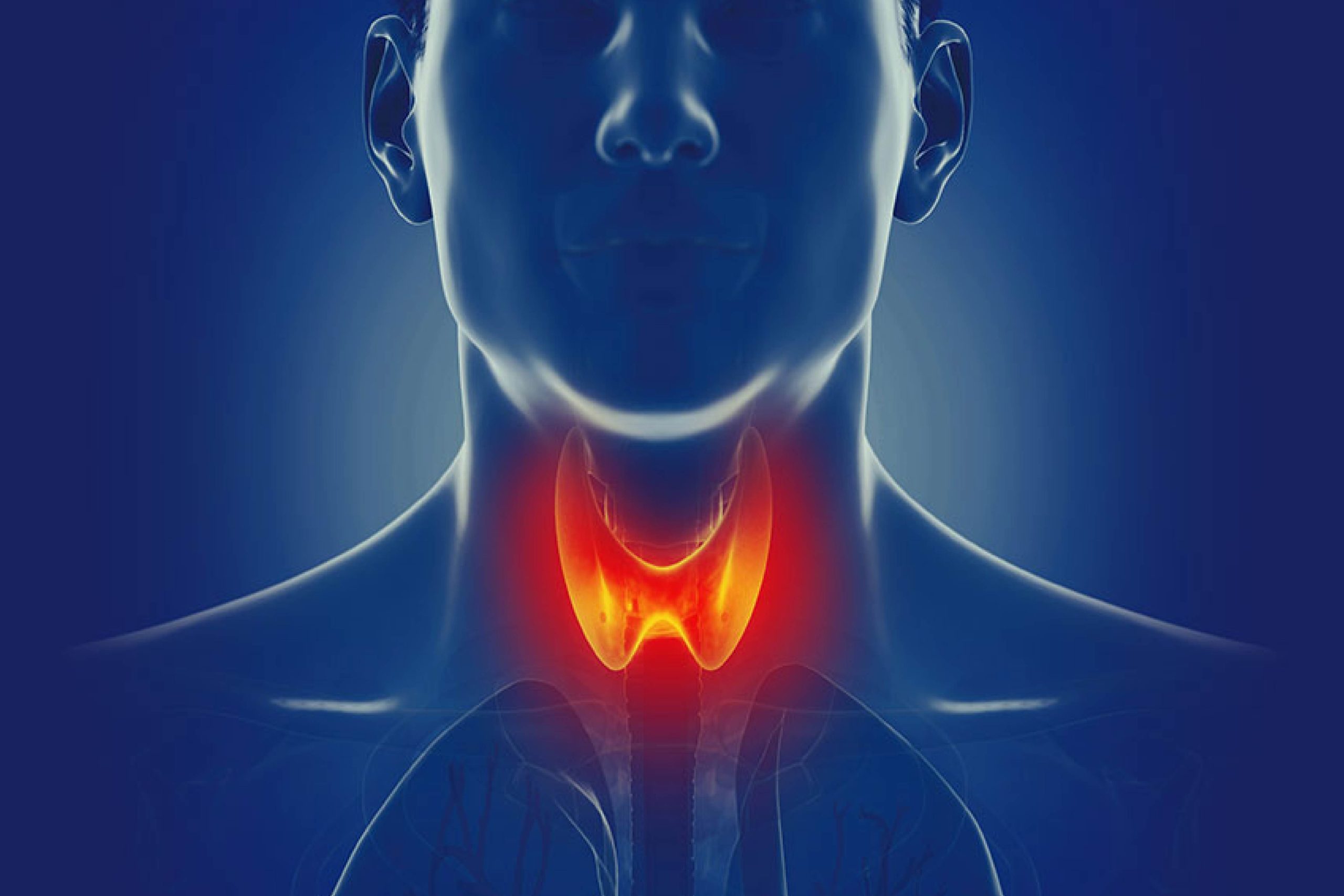 Thyroid